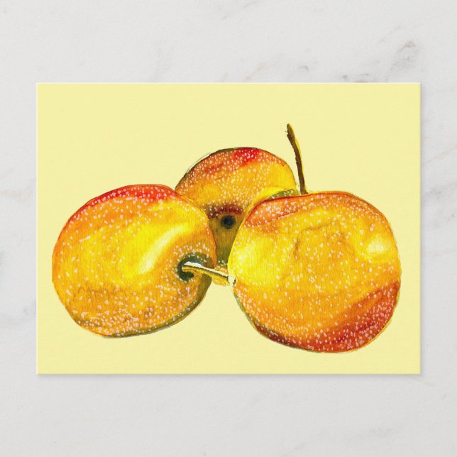 Watercolor fruit yellow pear fruit postcard (Front)