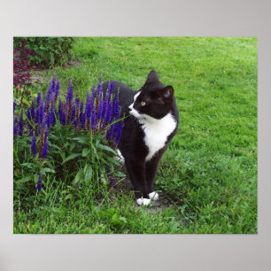 Watercolor Garden Cat Poster