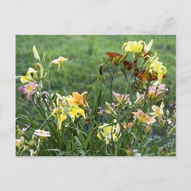 Watercolor Garden Postcard (Front)