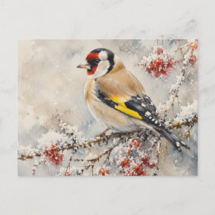 Watercolor Goldfinch Bird on Winter Berries Postcard