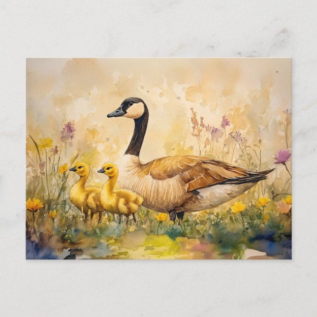 Watercolor Goose and Goslings Spring Postcard (Front)