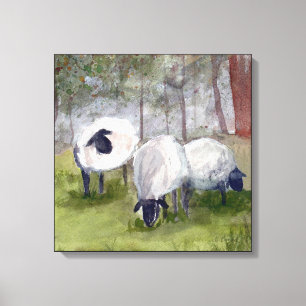 Watercolor Grazing Sheep Canvas Print