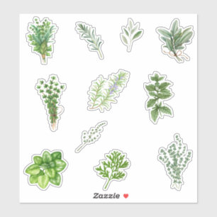 Watercolor Green Kitchen Herbs 