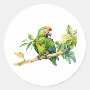 Watercolor Green Parrot on a Tree Branch  Classic Round Sticker