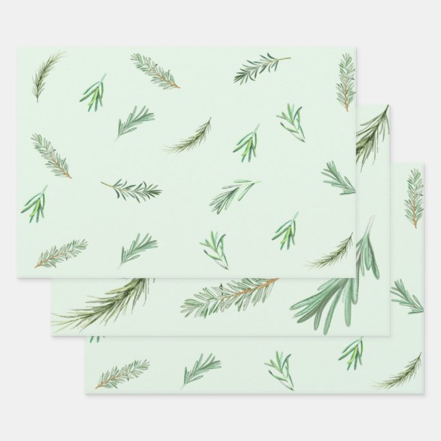 Watercolor Green Rosemary Branches Herbal Wrapping Paper Sheet (Set)