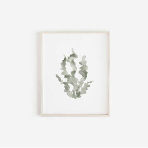 Watercolor green seaweed vintage print