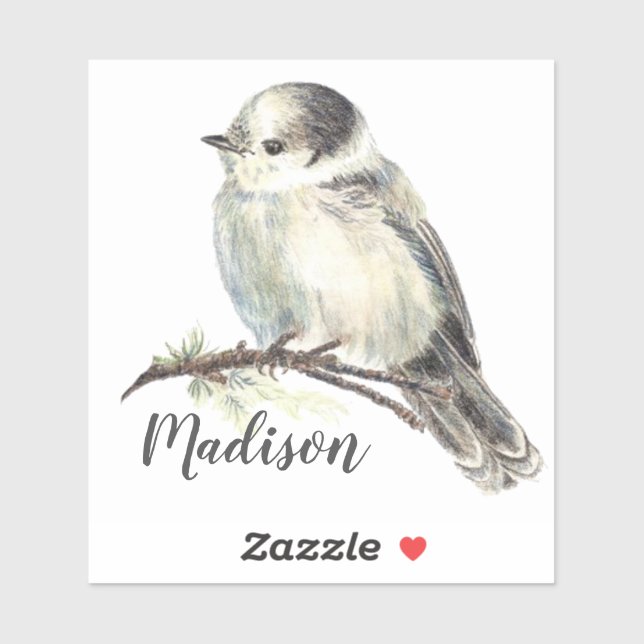 Watercolor Grey Jay Bird Nature Custom Name (Sheet)