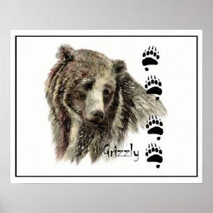Watercolor Grizzly Bear Animal Nature Art Poster