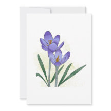 Watercolor Hand-painted Crocus Flowers