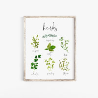 Watercolor Herb Kitchen Print Wall Art