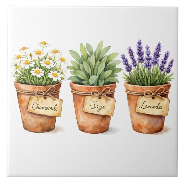 Watercolor Herbs Growing in the Pots  Tile (Front)