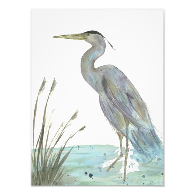 Watercolor Heron  Photo Print (Front)