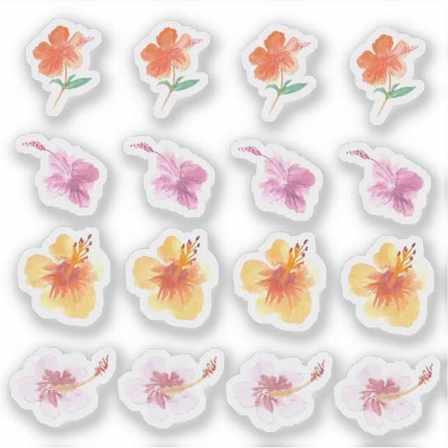Watercolor Hibiscus Colourful Florals Hand Painted (Front)
