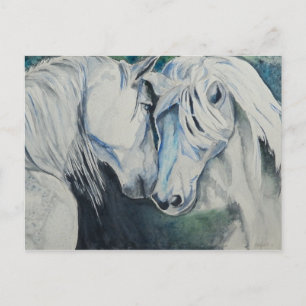 Watercolor Horse Postcard