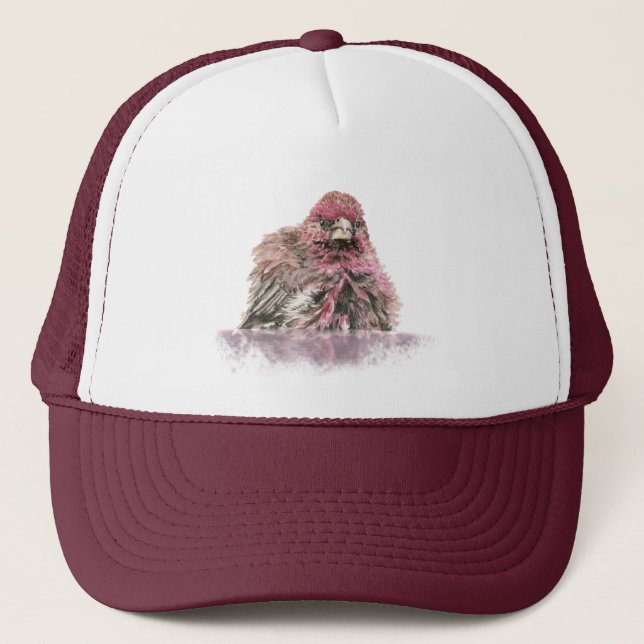 Watercolor House Finch Bird Bath Wildlife  Trucker Hat (Front)