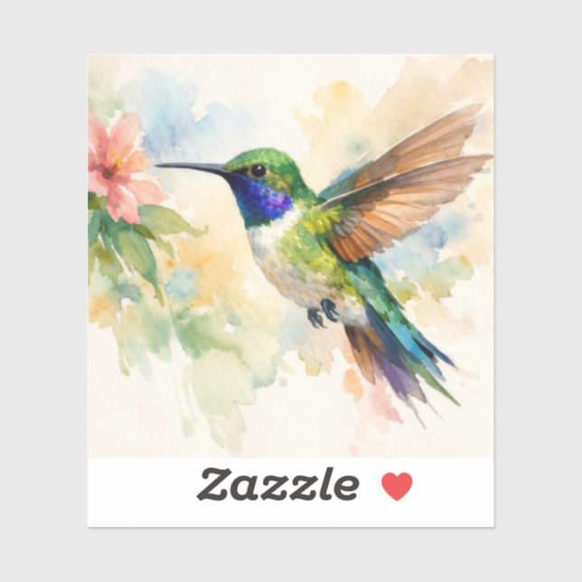 Watercolor Hummingbird (Sheet)