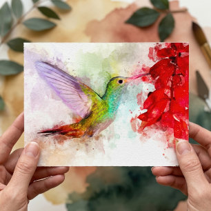 Watercolor Hummingbird Feeding on Red Flower Postcard
