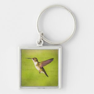 Watercolor Hummingbird Keychain