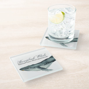 Watercolor Humpback Whale, Megaptera Novaeangliae Glass Coaster