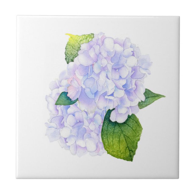 Watercolor Hydrangeas  Tile (Front)