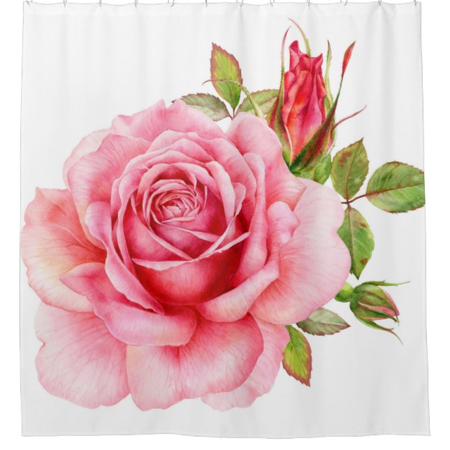 Watercolor illustration of a delicate pink rose wi (Front)