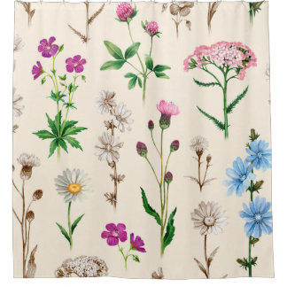 Watercolor illustrations of wild flowers. Seamless