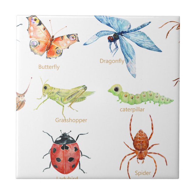 Watercolor insect illustration tile (Front)