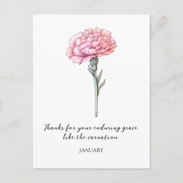 WATERCOLOR JANUARY CARNATION BIRTH FLOWER  POSTCARD (Front)