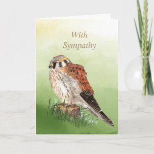 Watercolor Kestrel Falcon Sparrow Hawk Bird Nature Card