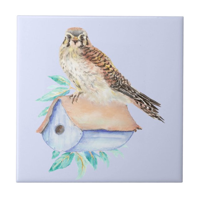 Watercolor Kestrel Sparrow Hawk Bird  Tile (Front)