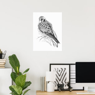 Watercolor Kestrel Sparrow Hawk Falcon Bird Poster