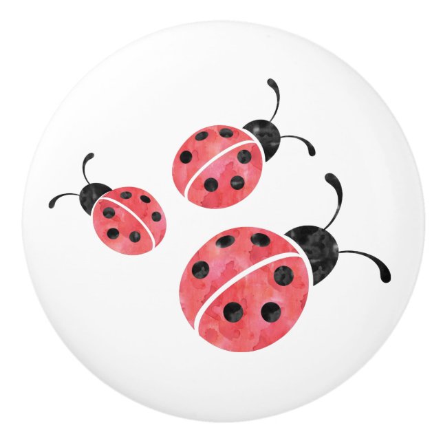 Watercolor Ladybug Ceramic Knobs (Front)
