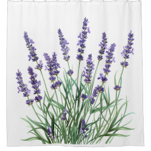 Watercolor Lavender Garden Flower