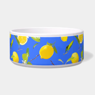 Watercolor Lemon & Leaves 13