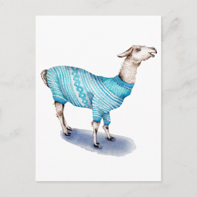 Watercolor Llama in Blue Sweater Postcard (Front)