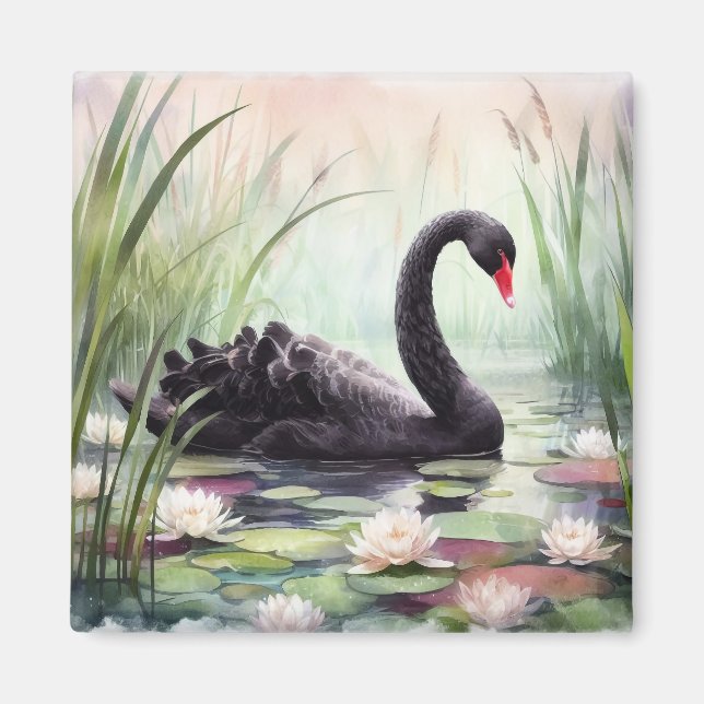 Watercolor Lotus Flowers Black Swan Magnet (Front)
