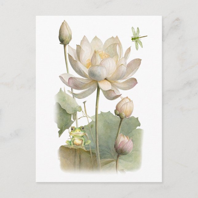 Watercolor Lotus Flowers, Frog and Dragonfly  Postcard (Front)