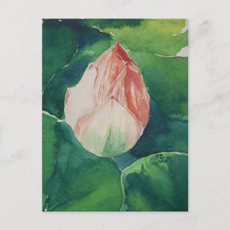 Watercolor Lotus Postcard