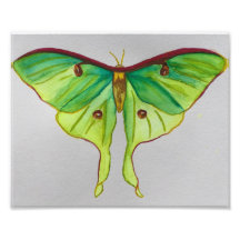 Watercolor Luna Moth