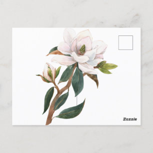 watercolor magnolia flower postcard