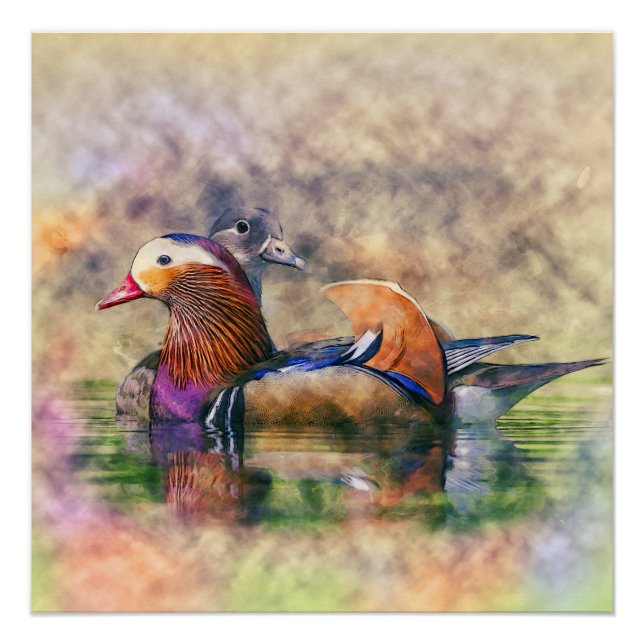 Watercolor Mandarin Ducks Feng Shui Symbol Poster (Front)