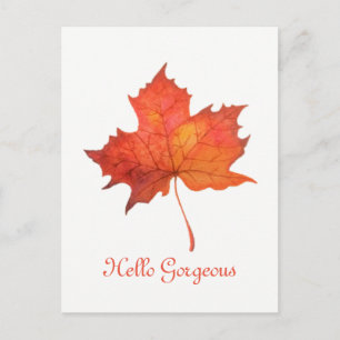 Watercolor Maple Leaf Postcard