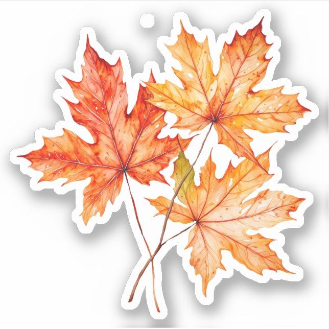 Watercolor Maple Tree Leaves (Front)