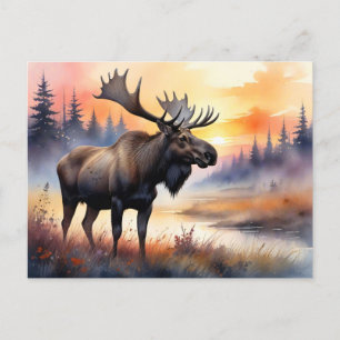 Watercolor Moose at Sunrise Postcard