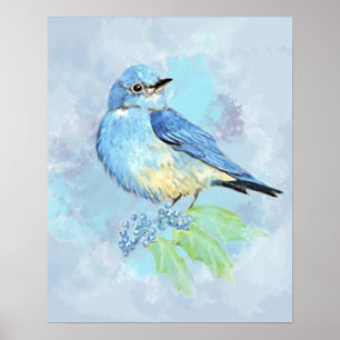 Watercolor Mountain Bluebird Bird Nature Art Poster