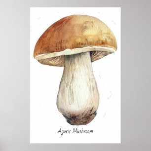 Watercolor mushroom illustration poster