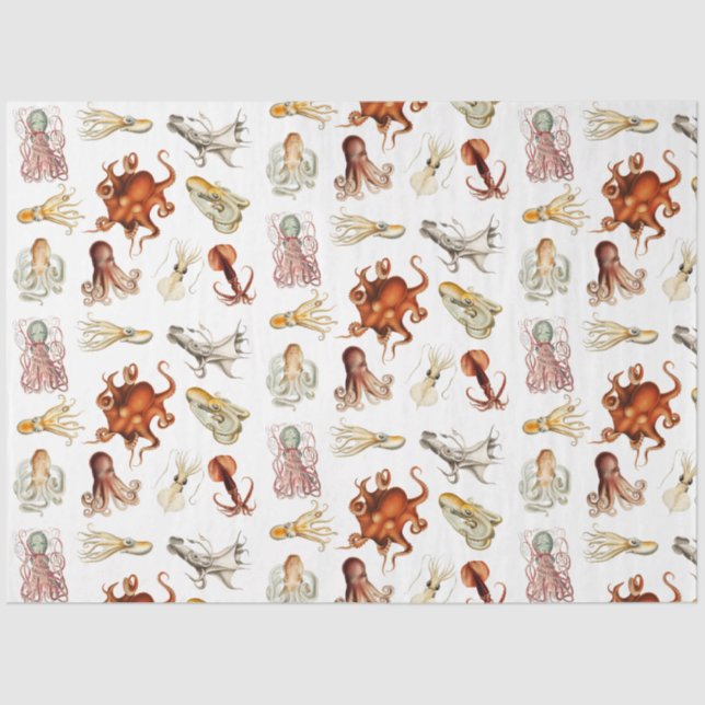 Watercolor Octopus Cephalopod Ocean Animals  Tissue Paper (Front)