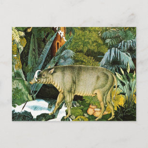Watercolor of a Babirusa Wild Pig Postcard