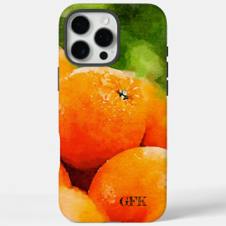 Watercolor of Oranges iPhone 16 Pro Max Case