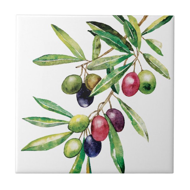 Watercolor Olive Branch Tile (Front)